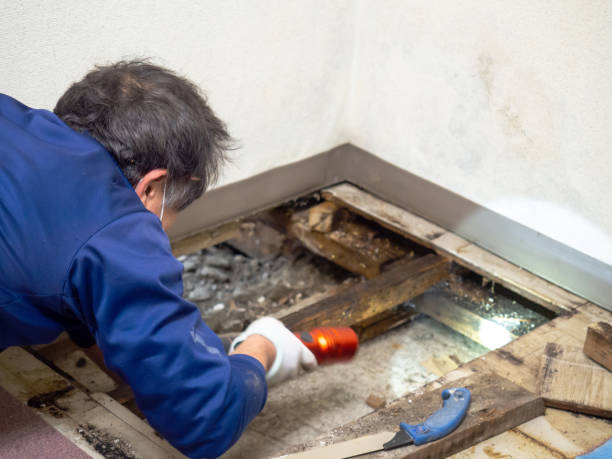 Water Damage Restoration in Palm River Clair Mel, FL